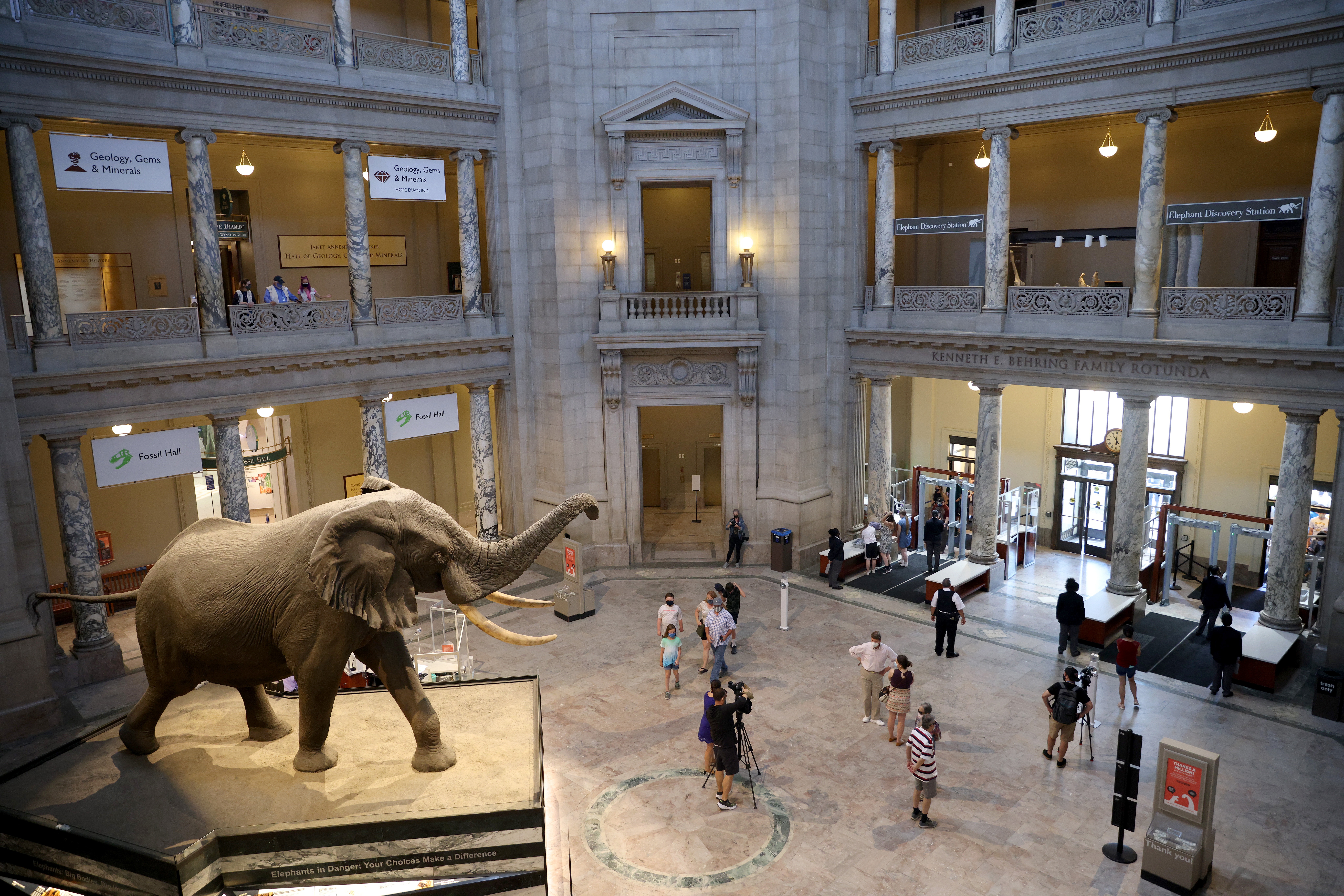 Visitors return to the Smithsonian National Museum of Natural History in Washington, D.C., on June 18, 2021, after the museum was closed for more than 400 days due to the pandemic.